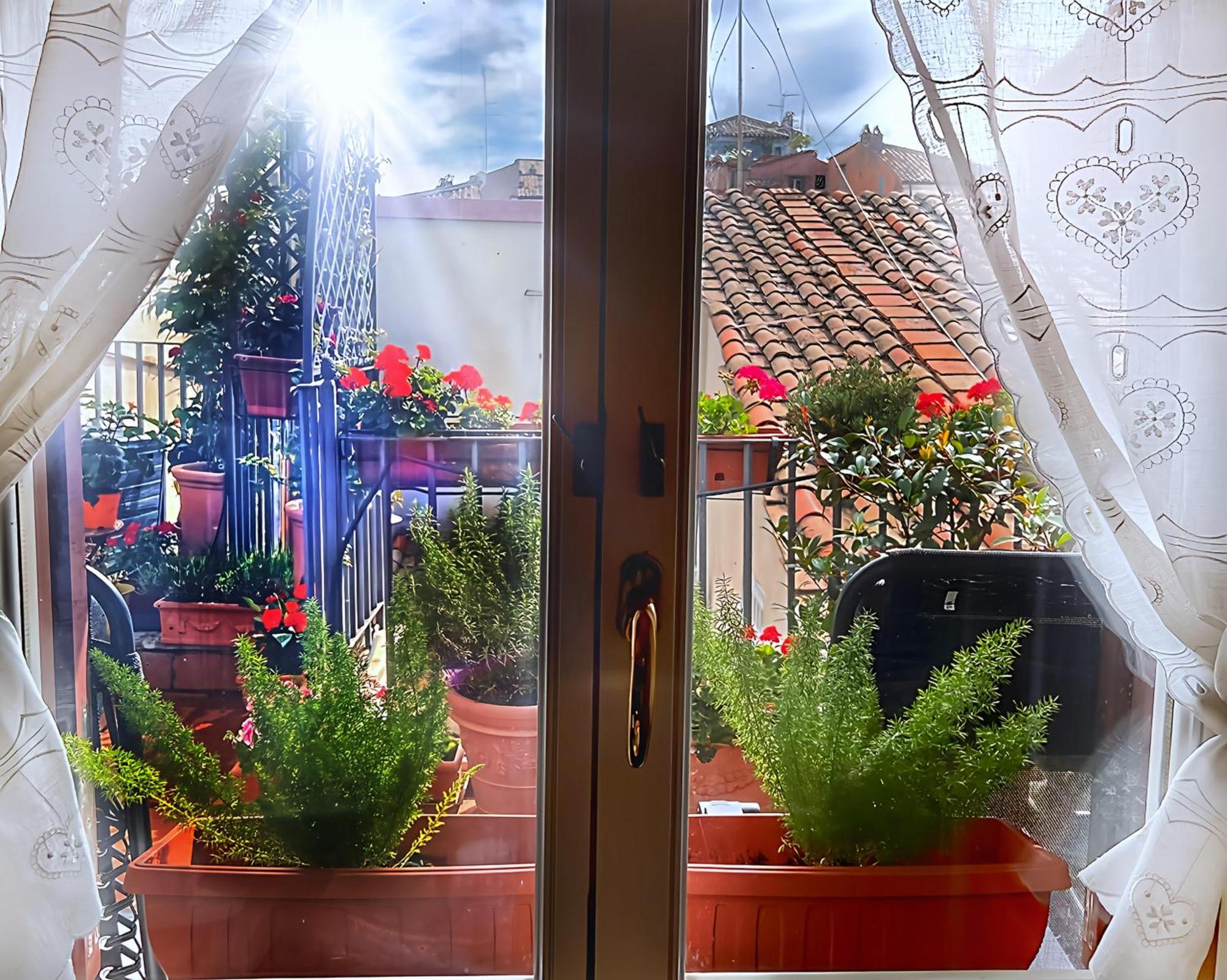 Apartment Sonia Campo De' Fiori